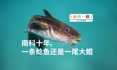 云纹石斑鱼和油斑的区别-云纹石斑鱼吃法-专业云纹石斑鱼吃法大全平台-云纹石斑鱼营养价值